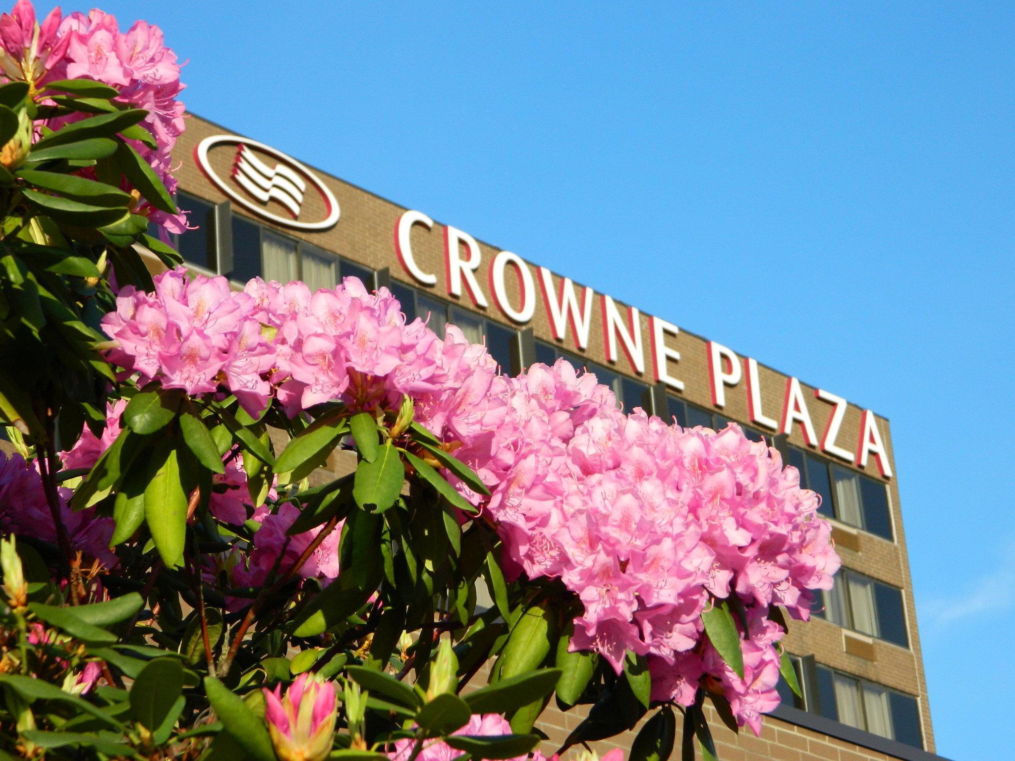 Crowne Plaza Danbury Otel Dış mekan fotoğraf